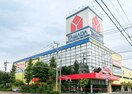 ヤマダデンキ(電気量販店/ホームセンター)まで803m ブルーコスモス