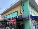 ウェルパーク小金井緑町店(スーパー)まで350m ガーデニアヒルズ