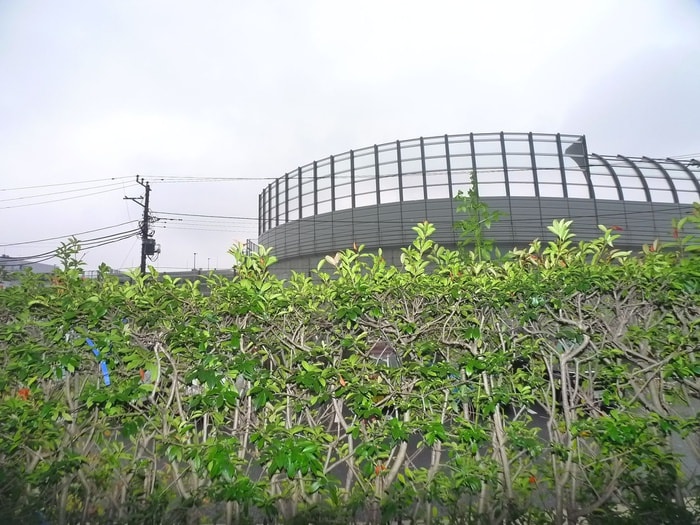 室内からの展望 ファミリーフジ２