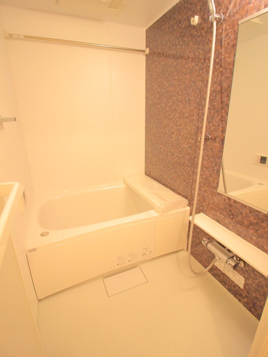 バス／シャワールーム等 セレスティア西台B