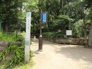 林試の森公園(公園)まで220m Ｃａｃｈｅｔｔｅ（ｶｼｪｯﾄ)