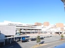 テラスモール湘南(ショッピングセンター/アウトレットモール)まで450m アビタ　エース
