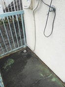 洗濯機置場 ｺ-ﾎﾟﾑﾗｾ