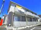 ステイゴールドの外観