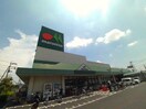 マルエツ(スーパー)まで350m フラットヒルズ２