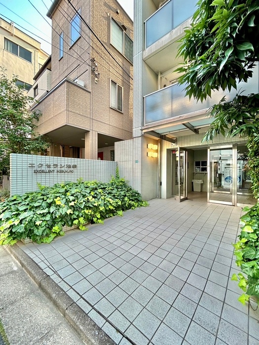 エントランス部分 エクセラン池袋