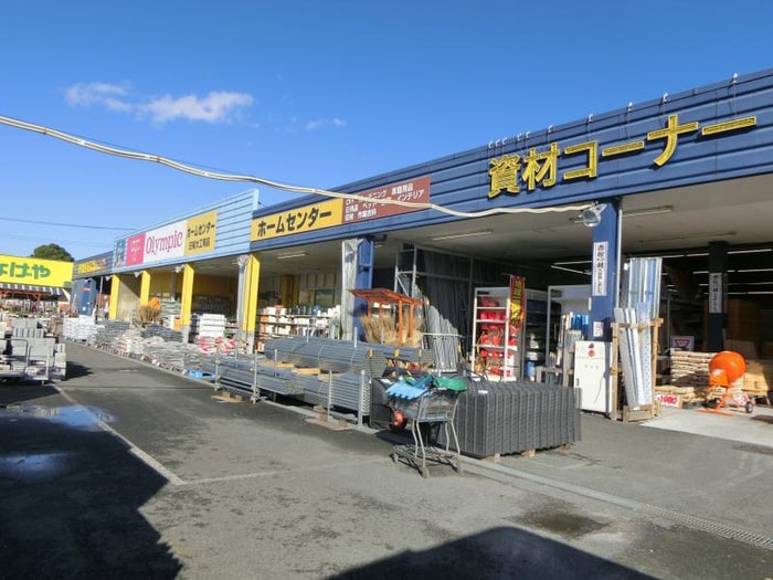 Olympic相模大塚店(電気量販店/ホームセンター)まで1300m ディオニソス
