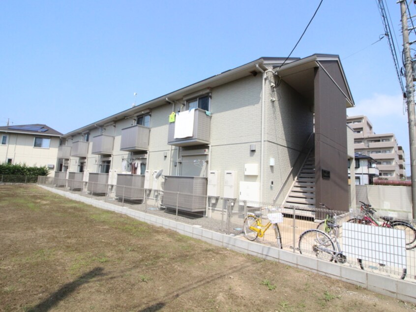 その他 ファルコーネ