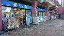 ハックドラッグ新子安店(ドラッグストア)まで351m フィオーレ新子安