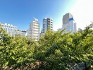 室内からの展望 小石川ＹＳレジデンス