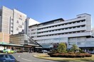 日本赤十字病院(病院)まで1400m ファミリーコーポ