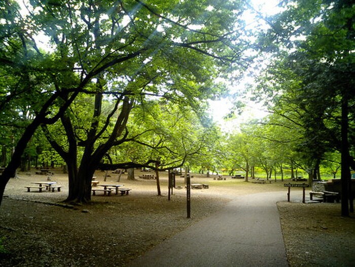 武蔵野公園(公園)まで2200m ファミリーコーポ