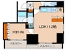ブランシエスタ白山 1LDKの間取り