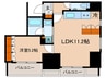 ブランシエスタ白山 1LDKの間取り