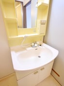 洗面 テラスヴュ－高野台