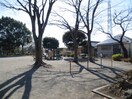 しらゆり公園(公園)まで10m グランパルク