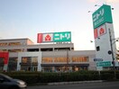 ニトリ(電気量販店/ホームセンター)まで273m グリュ－ネンホ－フ