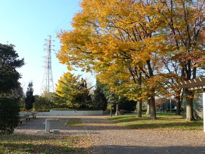 番場公園(公園)まで900m ふじたハイツ