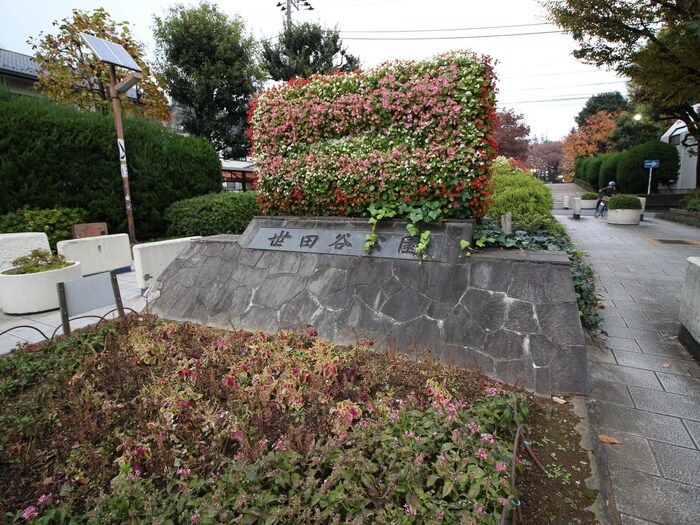 世田谷公園(公園)まで474m メイプルハイツ