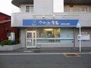 クオール薬局 上星川店(ドラッグストア)まで376m ラフィーナー上星川