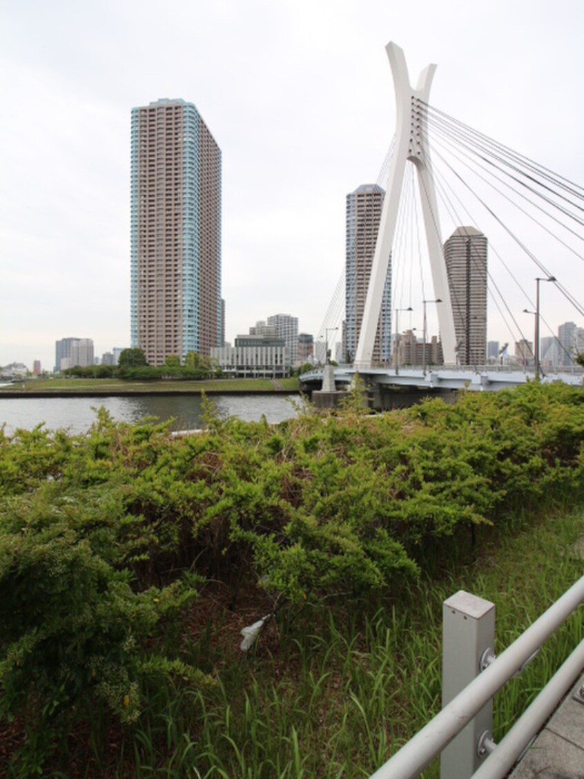 中央大橋(公園)まで350m レジディア新川(201)