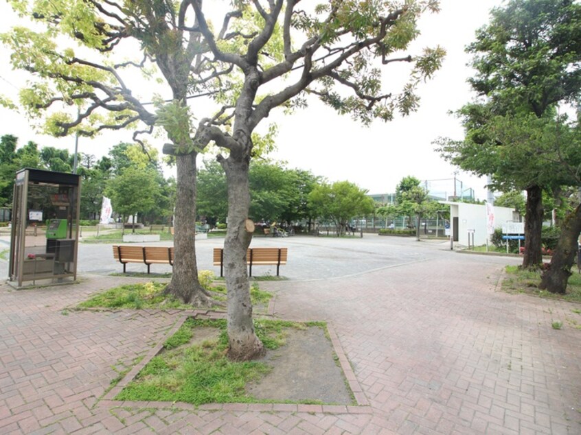 小泉公園(公園)まで275m クレ－ルコ－ト