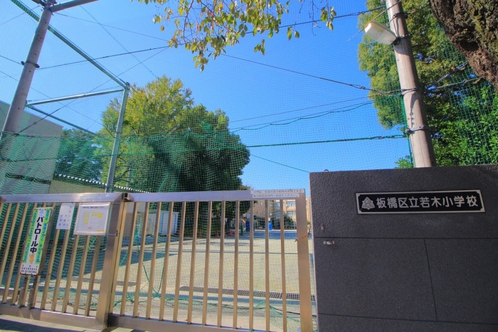 板橋区立若木小学校(小学校)まで270m コンフォート若木
