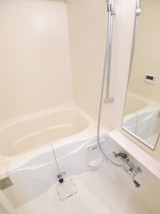 バス／シャワールーム等 グランパセオ清澄白河Ⅱ