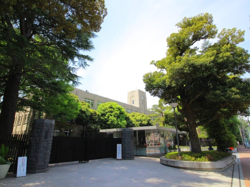 武蔵大学(大学/短大/専門学校)まで459m ハイツ栗林