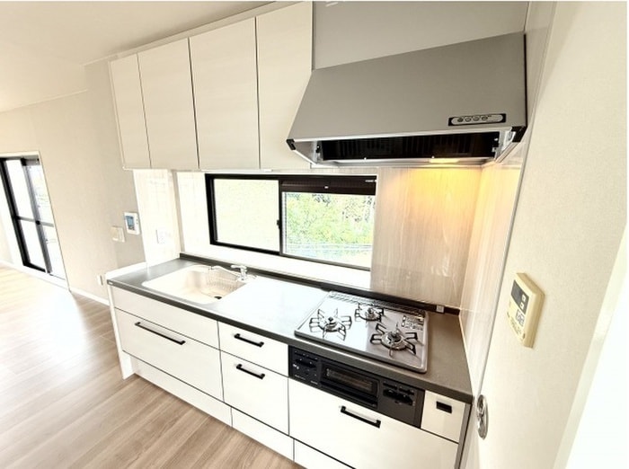 キッチン グレースフル・ピオナーＭ