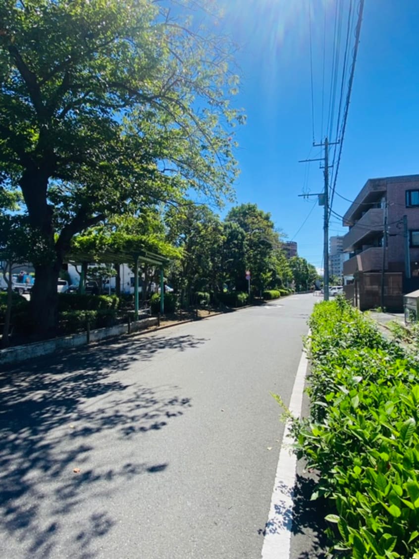 周辺環境 ミケーネ東葛西