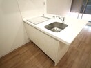 キッチン 仮）東みずほ台新築MS