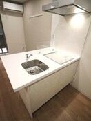 キッチン 仮）東みずほ台新築MS