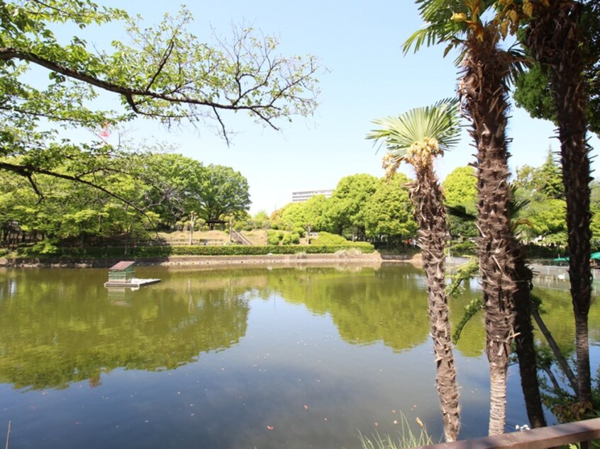 鹿沼公園(公園)まで681m パンシオン淵野辺Ａ