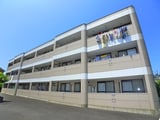 イ－ストリッチ