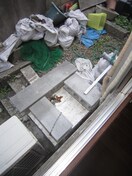 洗濯機置場 ドゥエルさかえ