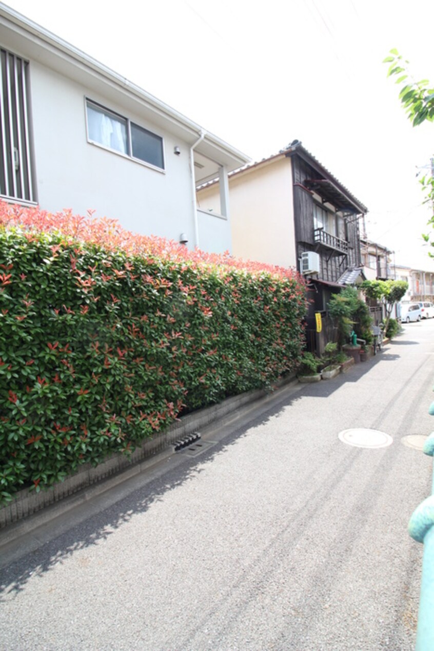 室内からの展望 ワイズフラット