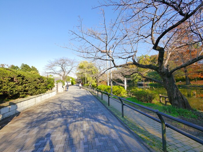 石神井公園(公園)まで725m カサブランカ・シックス