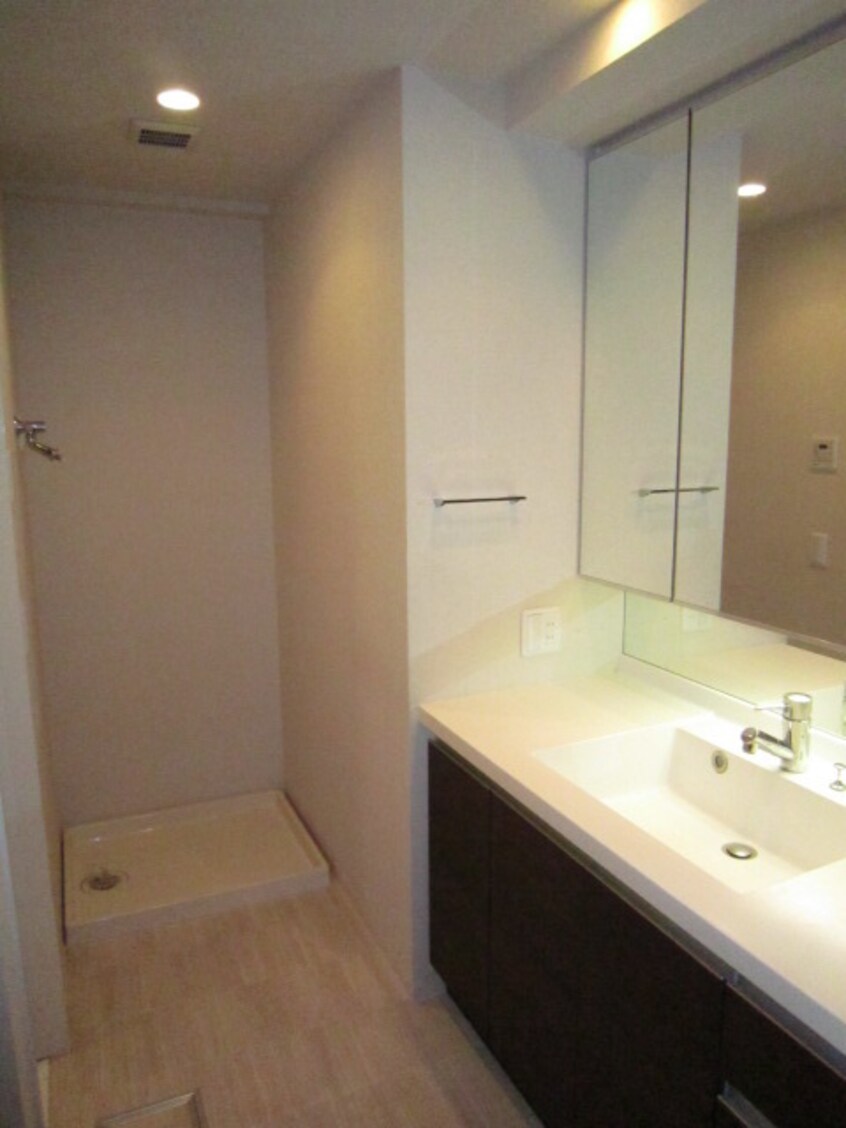 洗面 プラウド西大島(203)