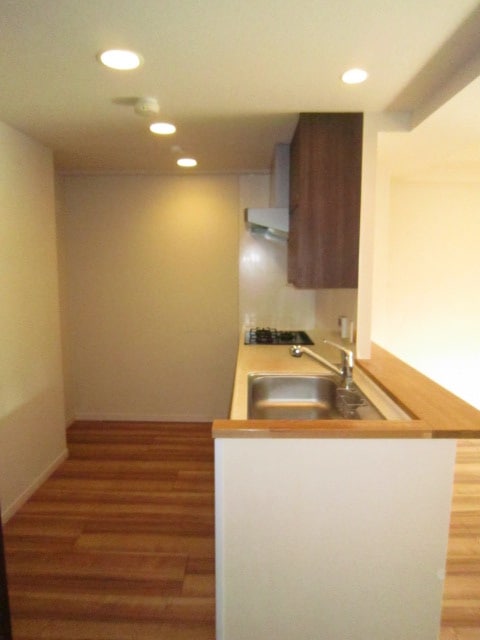 キッチン プラウド西大島(203)