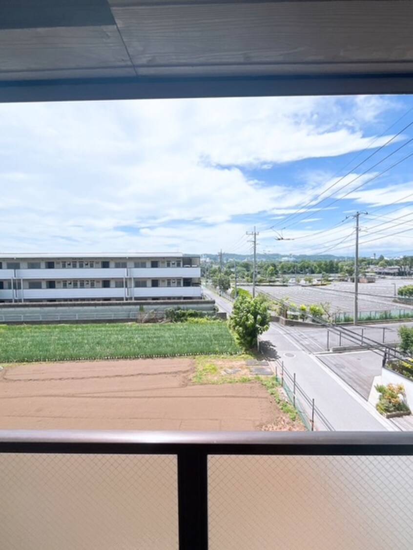 室内からの展望 ザ・サム・ハラ