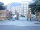 東京大学(大学/短大/専門学校)まで492m ハイム・ムラカミ