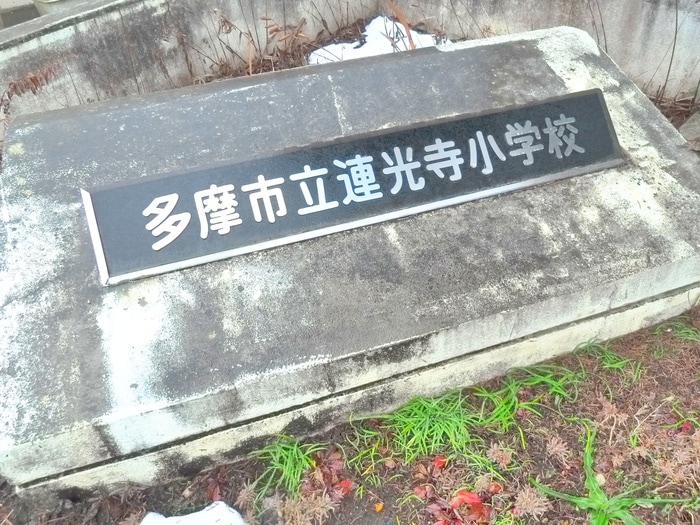 連光寺小学校(小学校)まで231m コートグレイスエクセレント