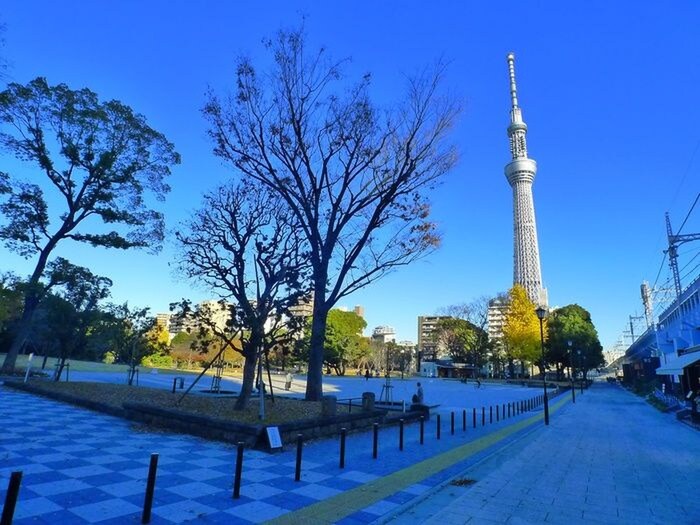 隅田公園(公園)まで350m レオーネ浅草