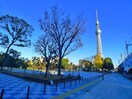 隅田公園(公園)まで350m レオーネ浅草