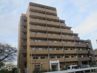 ﾒｲﾝｽﾃｰｼﾞTOKYO・NORTH HY`s(203)