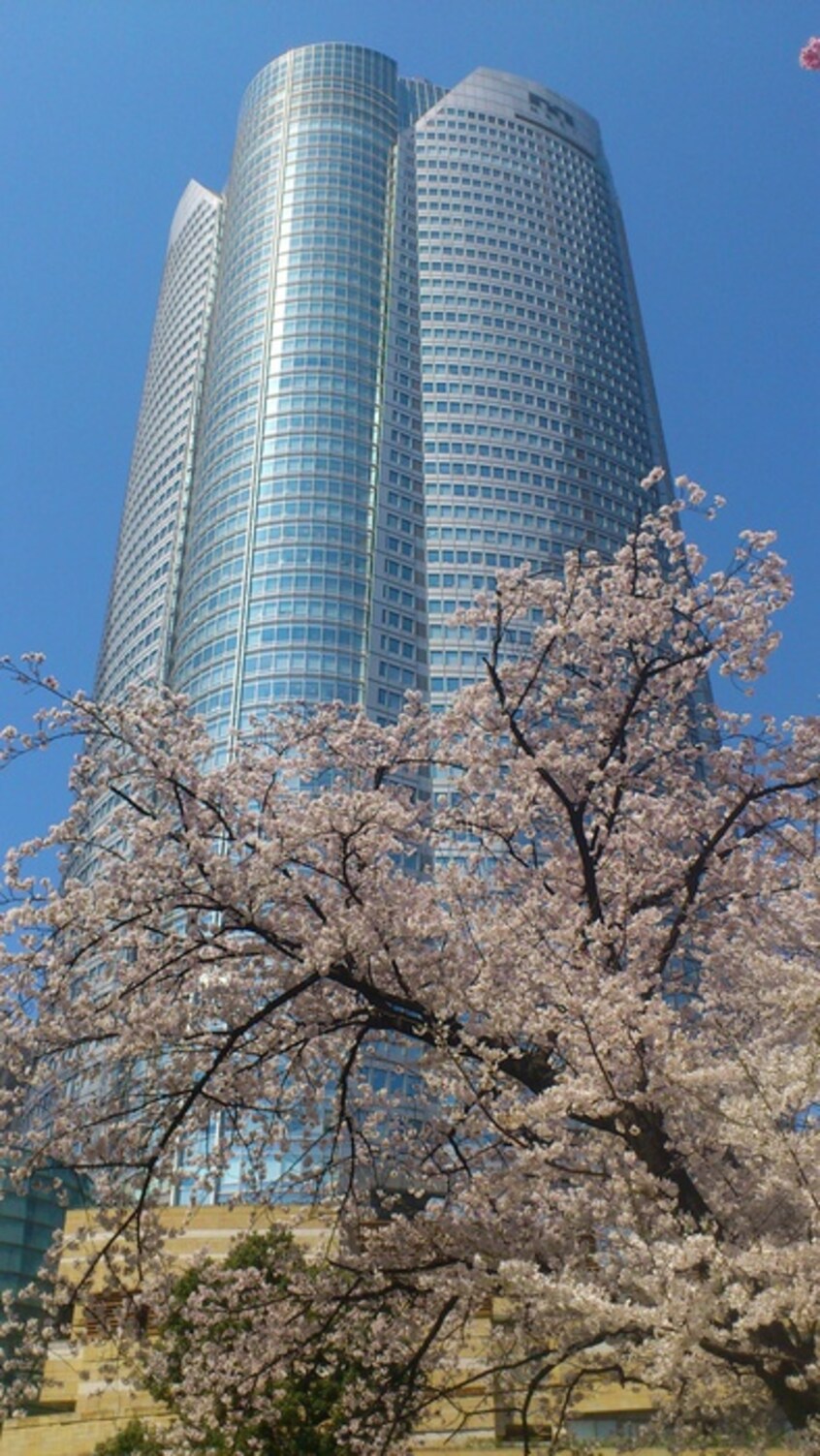 六本木ヒルズ(ディスカウントショップ)まで1600m DUO FLATS芝公園