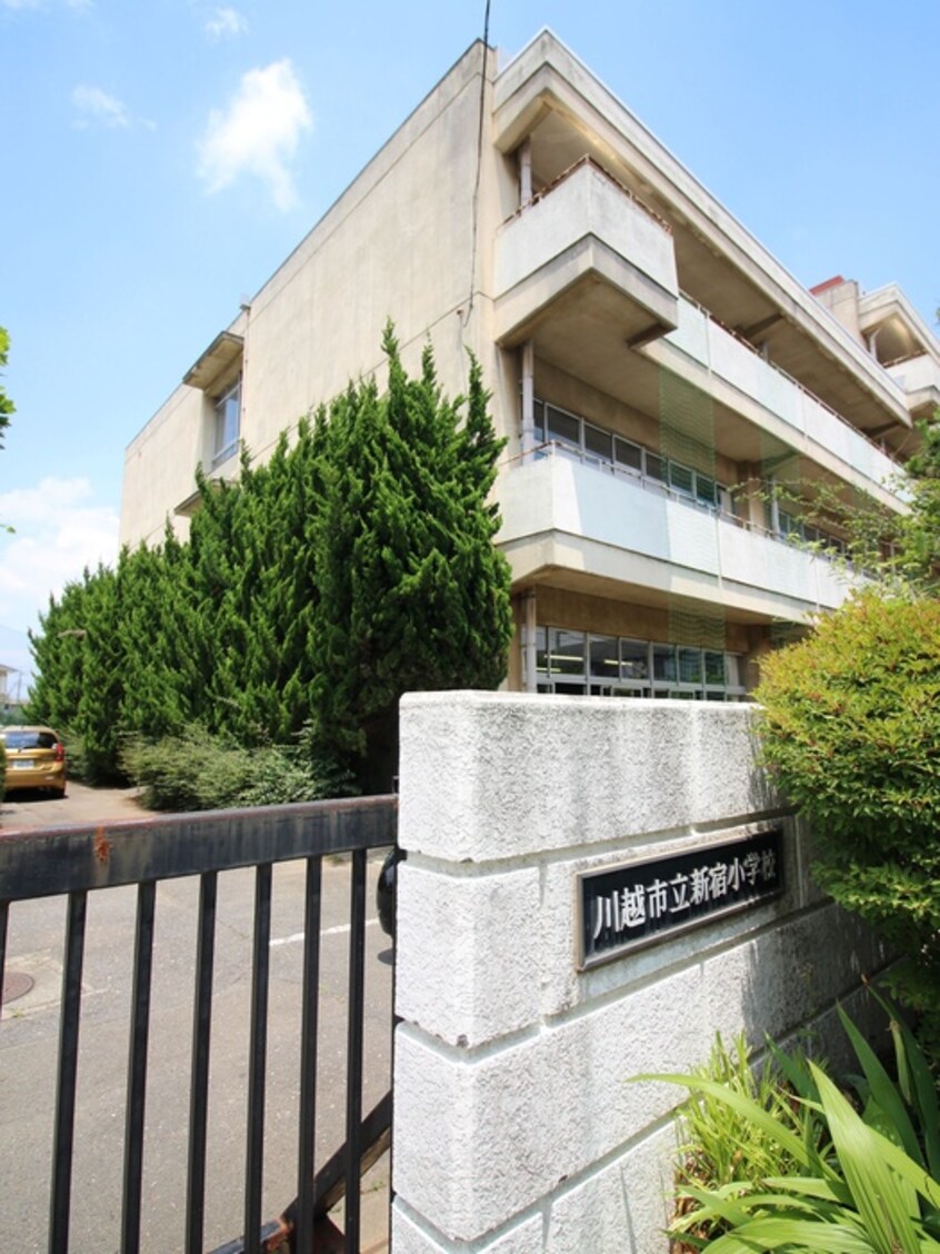 新宿小学校(小学校)まで350m ボナール新宿