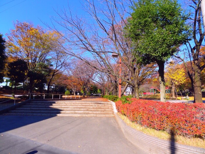 与野公園(公園)まで450m Ｓｐｉｃａ　Ｈｏｕｓｅ与野本町