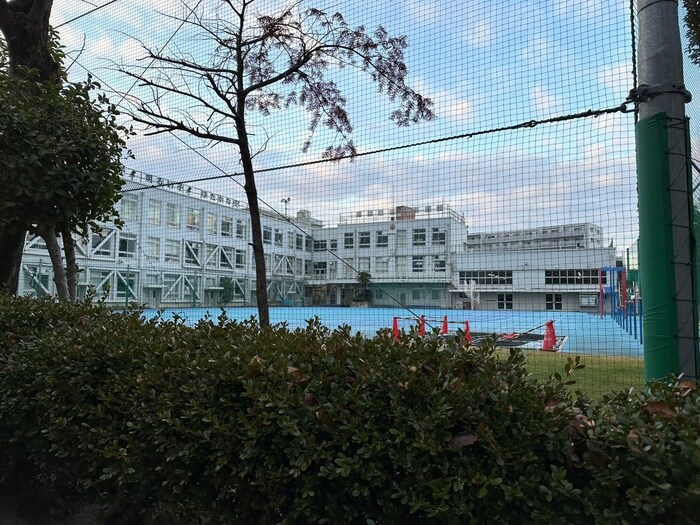 言問小学校(小学校)まで218m 向島テラス